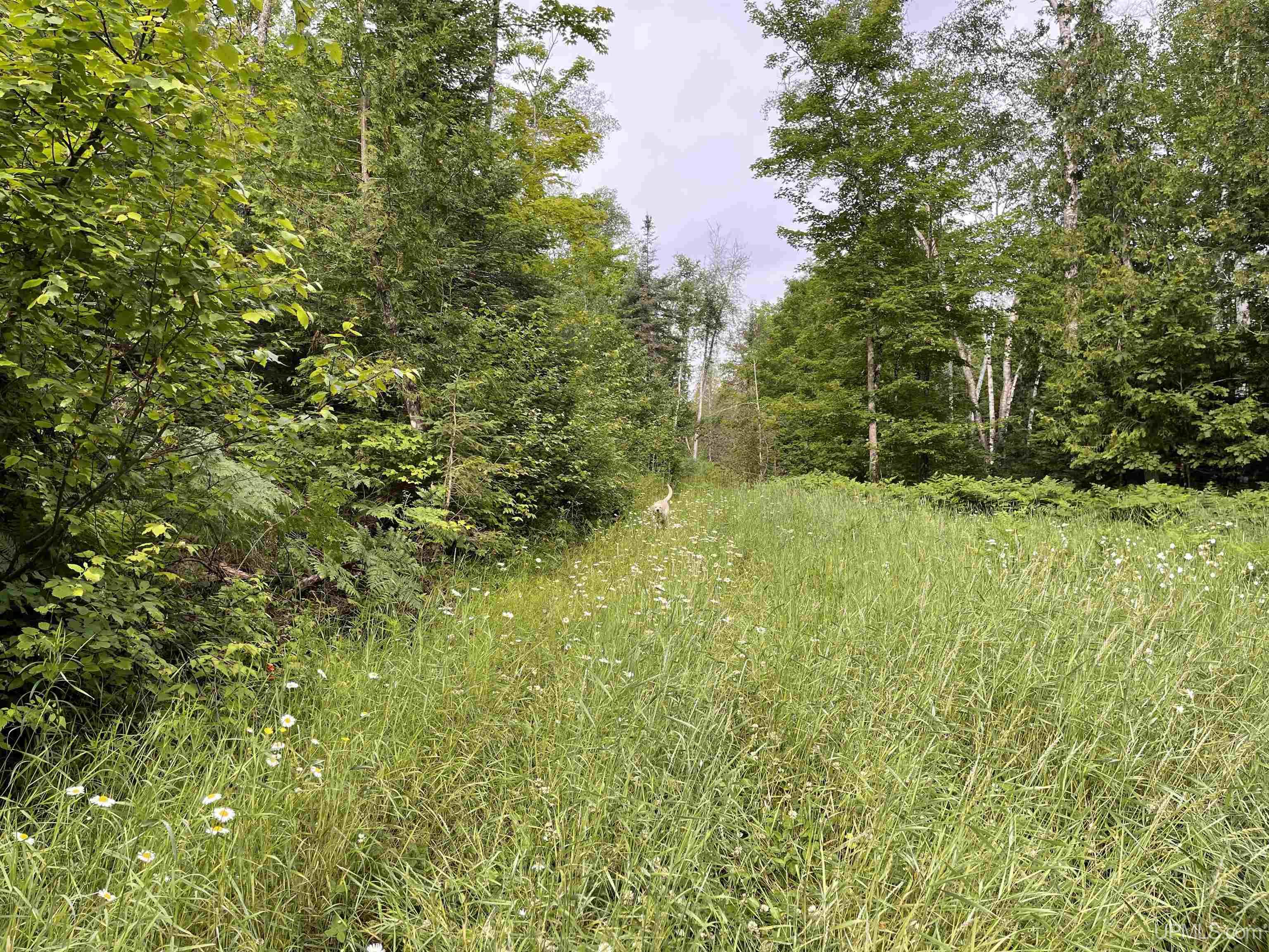 24-acres Cooper Lake Road Ishpeming, MI 49849 - Photo 8 of 13