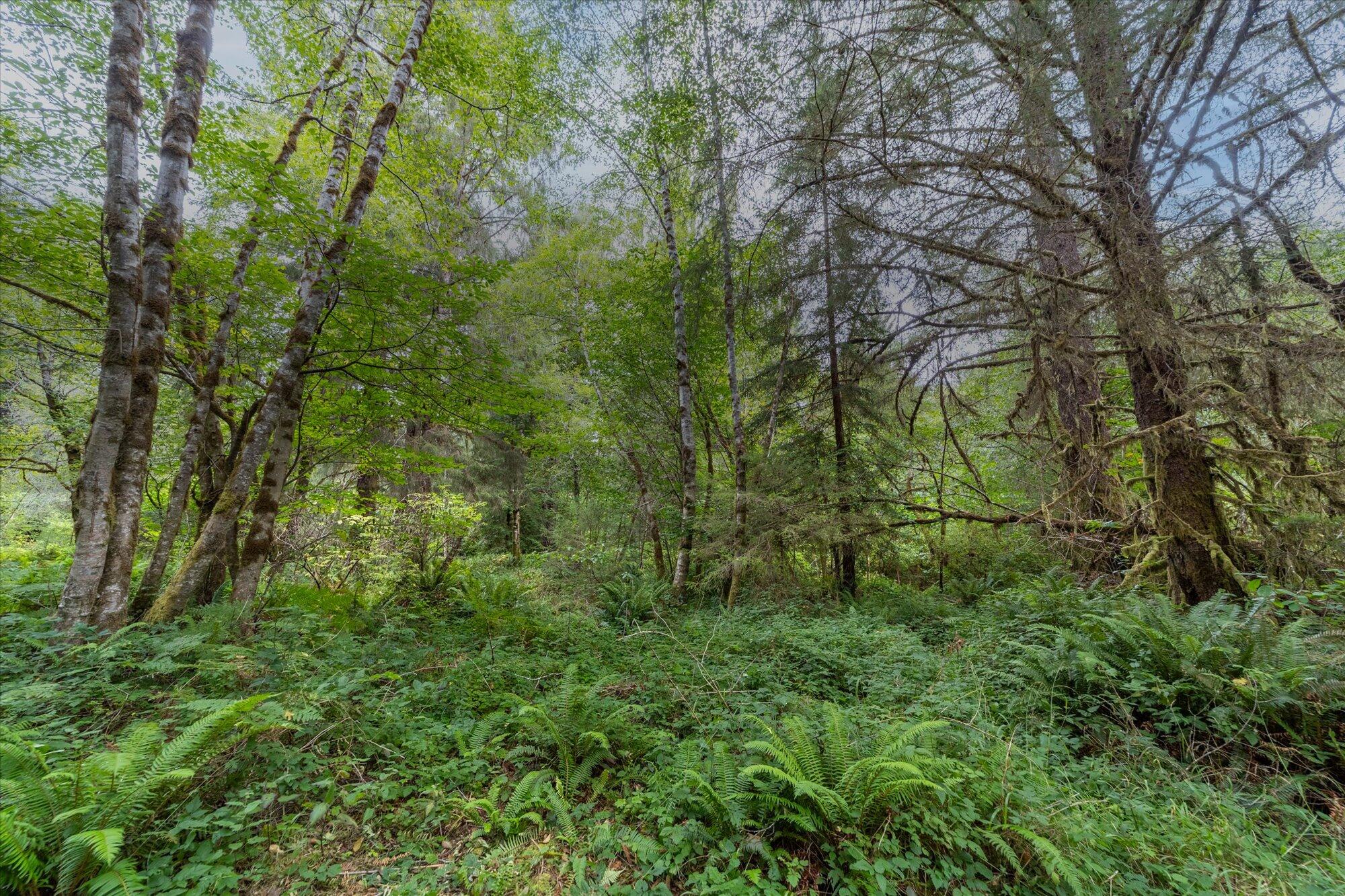 3924 Old Railroad Grade Road McKinleyville, CA 95521 - Photo 61 of 71 60-3924 Old Railroad-217