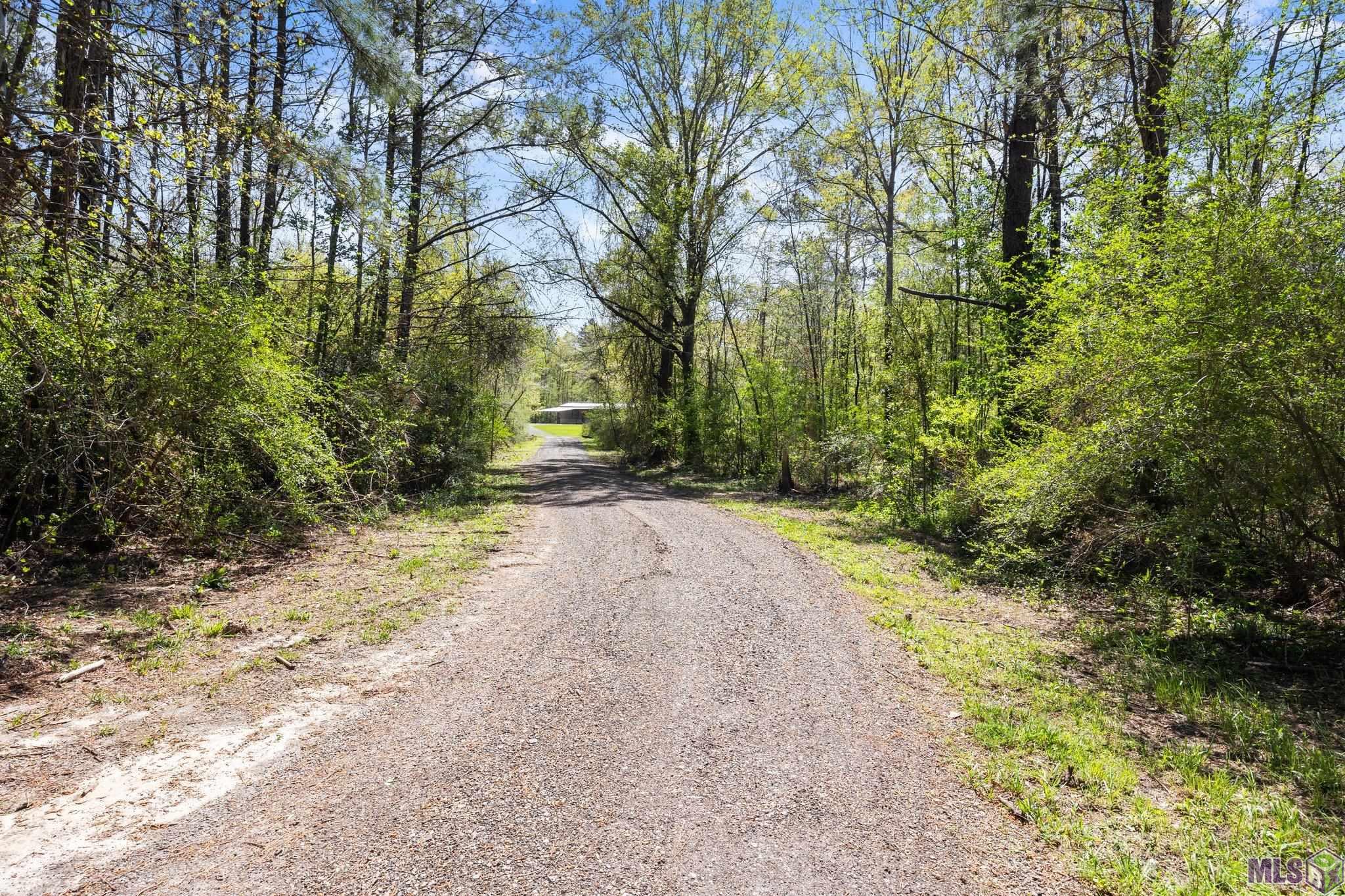 19606 Rudy Lee Road Livingston, LA 70754 - Photo 20 of 21 Gallery Image 20
