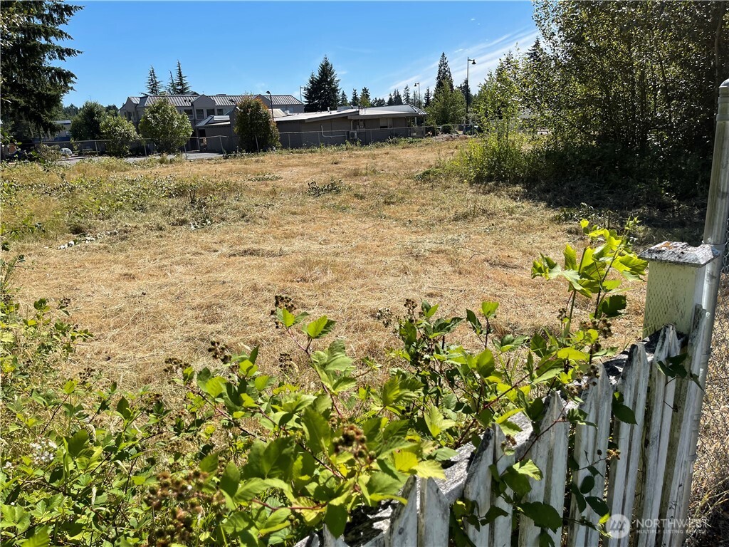 1726 Duvall Avenue Northeast Renton, WA 98059 - Photo 15 of 16 a view of a yard with plants and trees