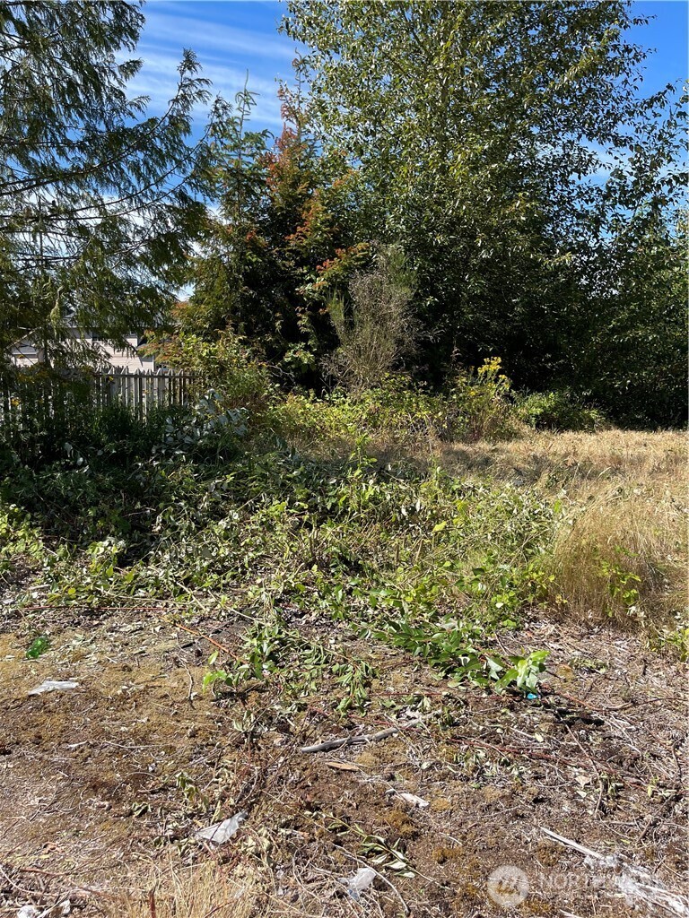 1726 Duvall Avenue Northeast Renton, WA 98059 - Photo 3 of 16 a view of a yard with plants and large trees