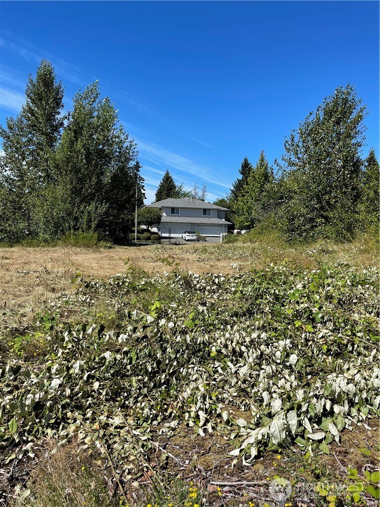 1726 Duvall Avenue Northeast Renton, WA 98059 - Photo 4 of 16 a view of backyard with outdoor space