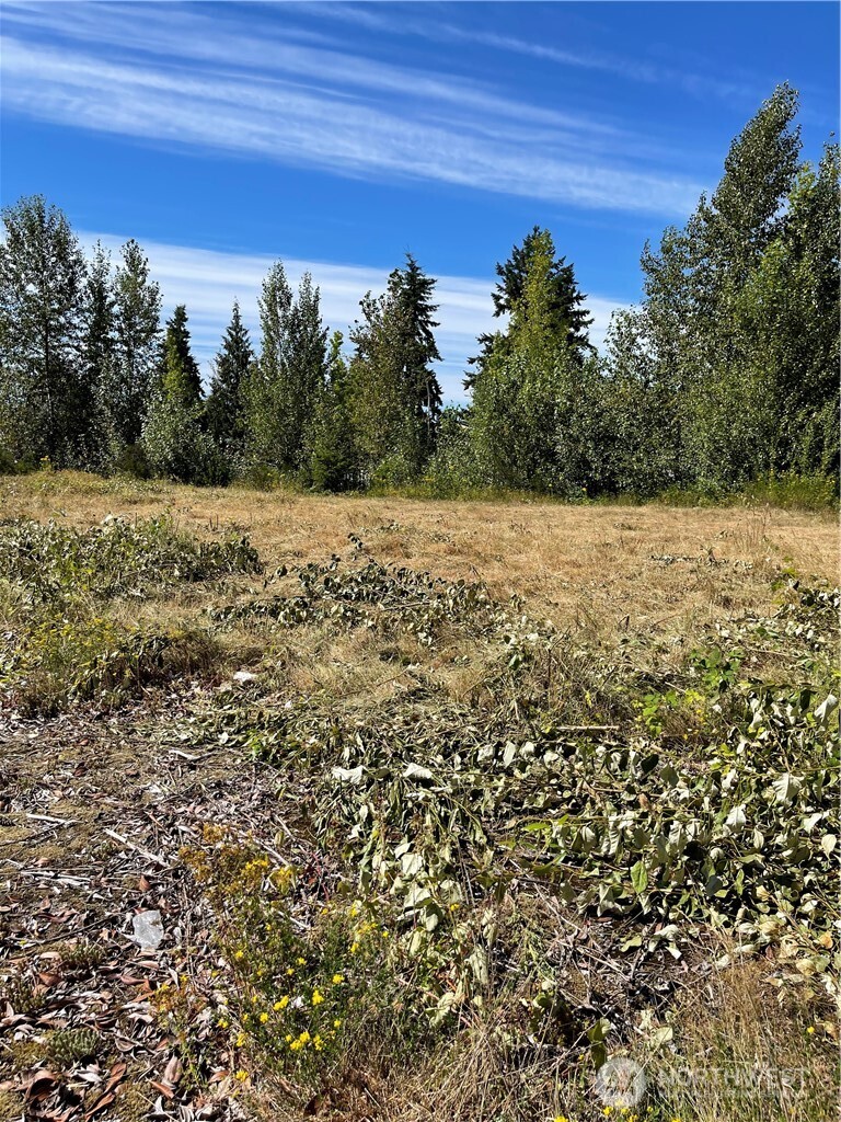 1726 Duvall Avenue Northeast Renton, WA 98059 - Photo 5 of 16 a view of outdoor space and trees