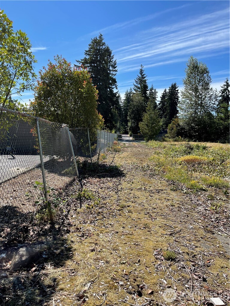 1726 Duvall Avenue Northeast Renton, WA 98059 - Photo 8 of 16 a backyard of a house with lots of green space