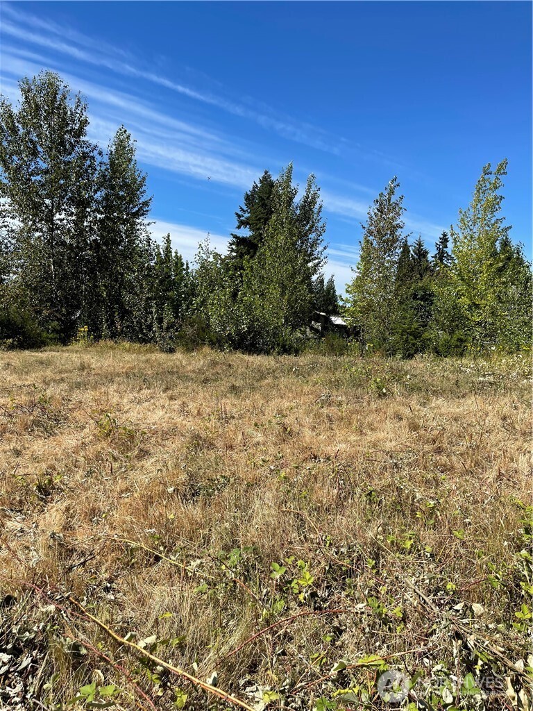 1726 Duvall Avenue Northeast Renton, WA 98059 - Photo 9 of 16 a view of a field with trees in the background