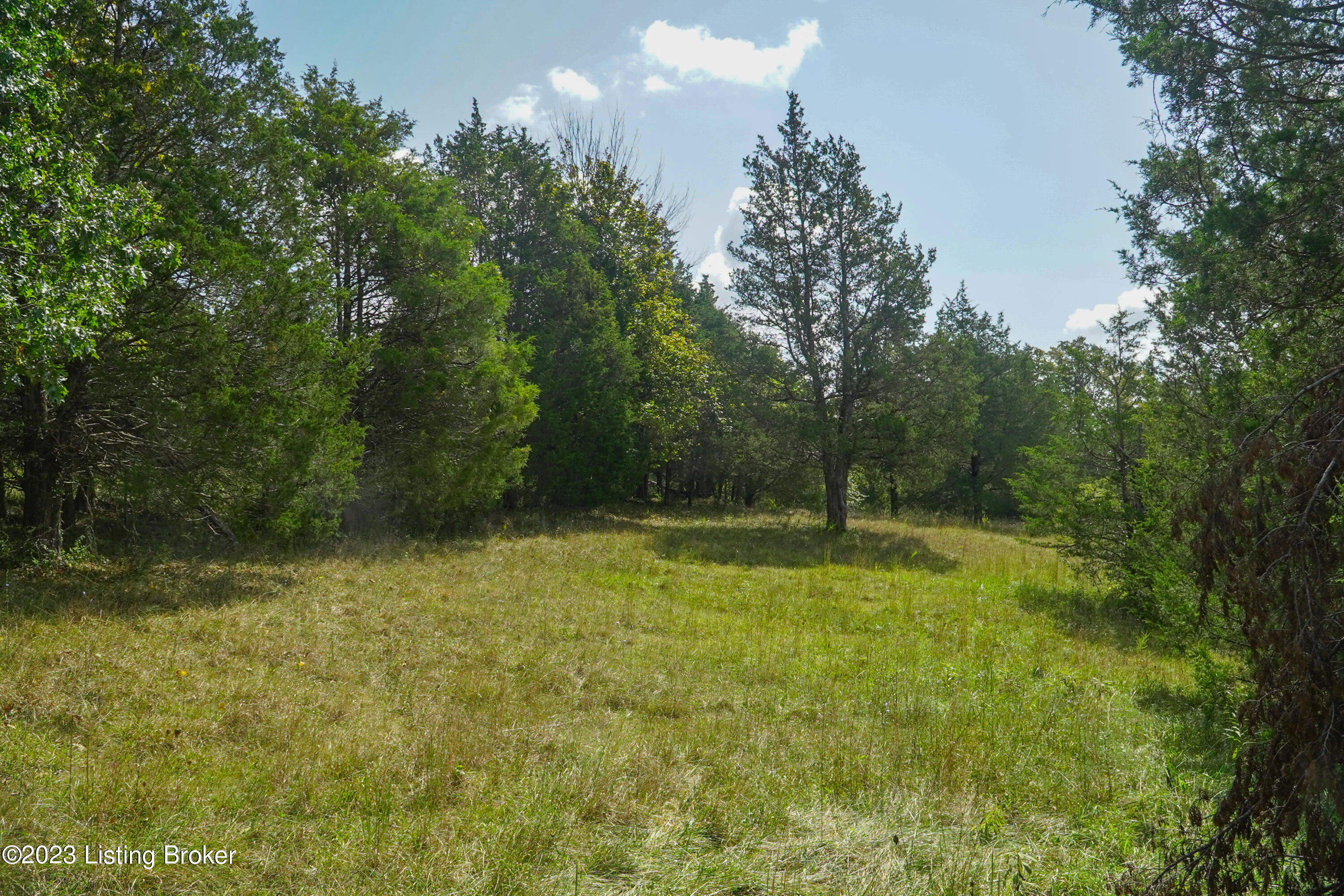 11015 Back Run Road Louisville, KY 40299 - Photo 5 of 14 DSC03150