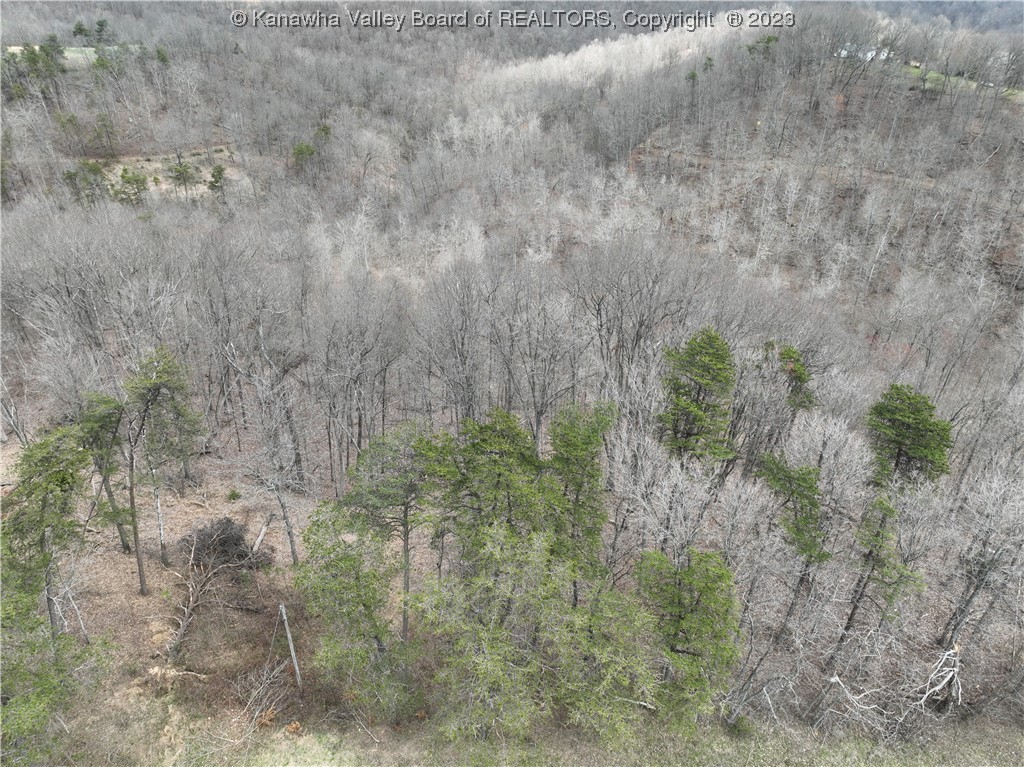 24-acres Redmond Ridge Road Gallipolis Ferry, WV 25515 - Photo 7 of 14 Gallery Image 7