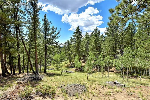 3875 Pathfinder Road Florissant, CO 80816 - Photo 28 of 34 Gallery Image 28