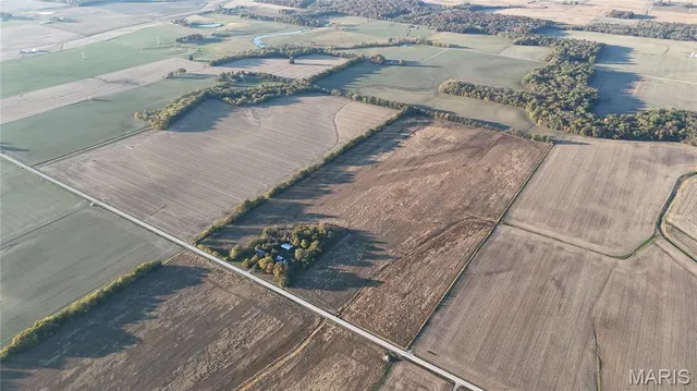 $1,553,470 | 0 Risdon School Road, Marissa, IL 62257