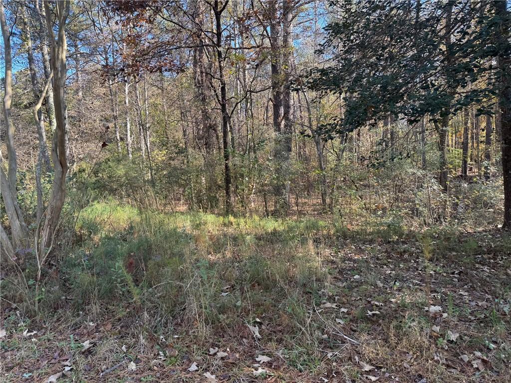 2750 Burnt Hickory Road Northwest Marietta, GA 30064 - Photo 7 of 11 a view of a yard with large trees
