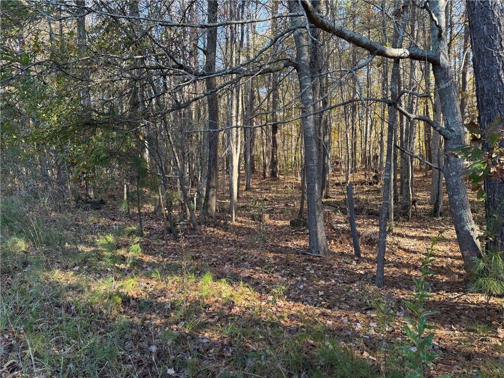 2750 Burnt Hickory Road Northwest Marietta, GA 30064 - Photo 9 of 11 a backyard of a house with lots of green space