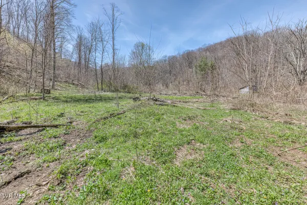 $245,000 | 119-111 Hughes Hollow Road, Roan Mountain, TN 37687
