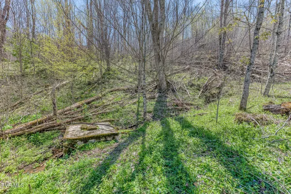 $245,000 | 119-111 Hughes Hollow Road, Roan Mountain, TN 37687