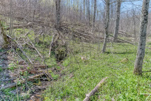 $245,000 | 119-111 Hughes Hollow Road, Roan Mountain, TN 37687