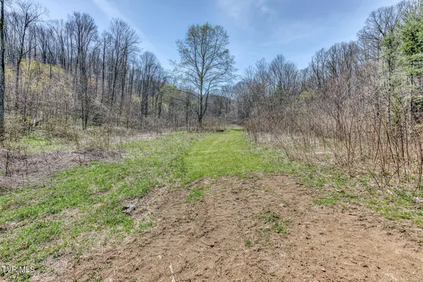 $245,000 | 119-111 Hughes Hollow Road, Roan Mountain, TN 37687