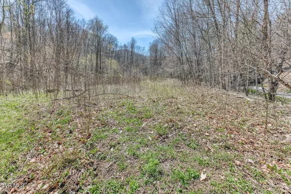 $245,000 | 119-111 Hughes Hollow Road, Roan Mountain, TN 37687