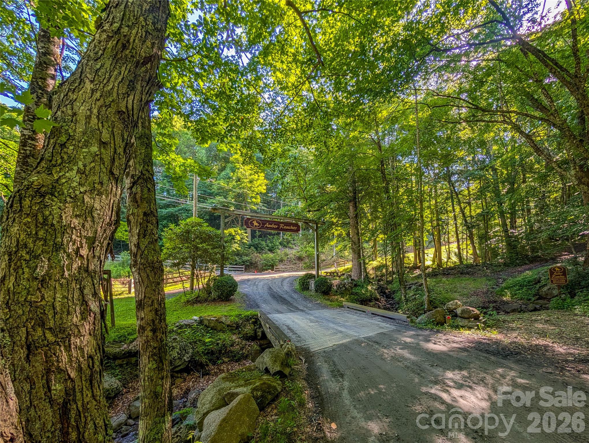 0 Amber Ranches, Unit 47 Bakersville, NC 28705 - Photo 17 of 18