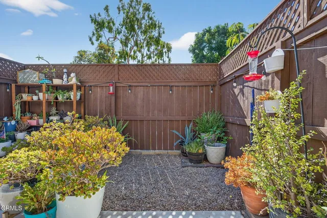 a front view of a house with a yard and covered with plants