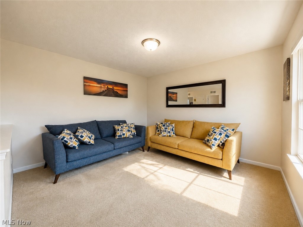 867 Starr Ridge Street Southeast Massillon, OH 44646 - Photo 15 of 29 Carpeted floor with light-toned walls and a flush-mount ceiling light