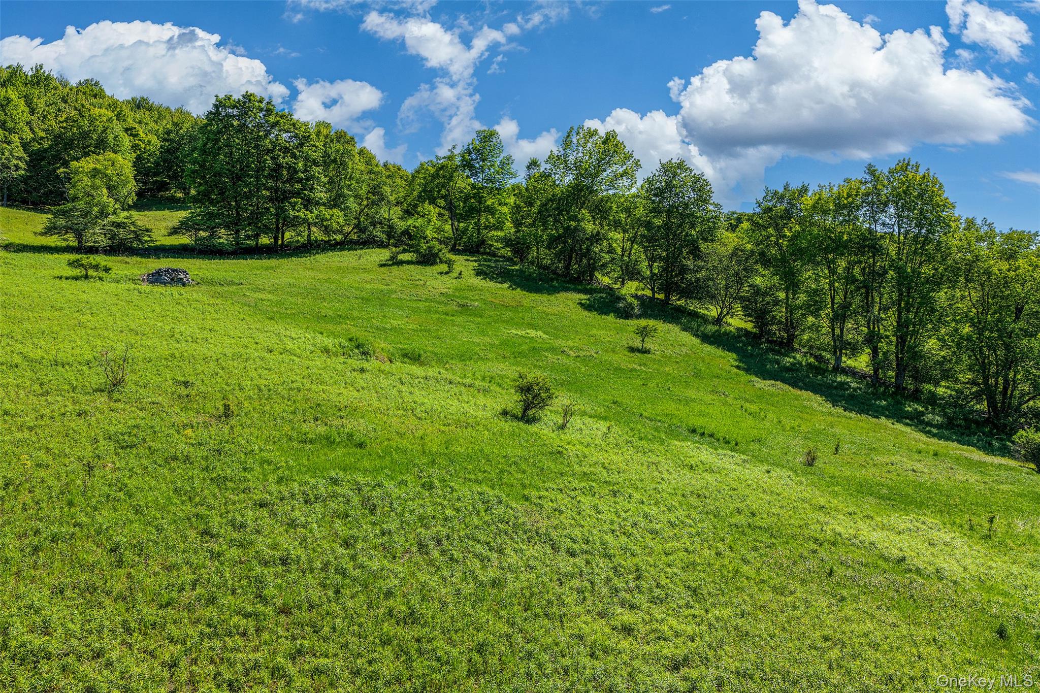 26 Federal Hill 2 Road Delhi, NY 13753 - Photo 47 of 50