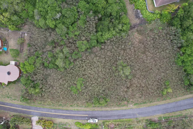 a wooden floor with some trees in the background