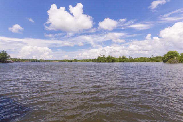 14259 Riverside Drive Foley, AL 36535 - Photo 6 of 25 Wide part of river