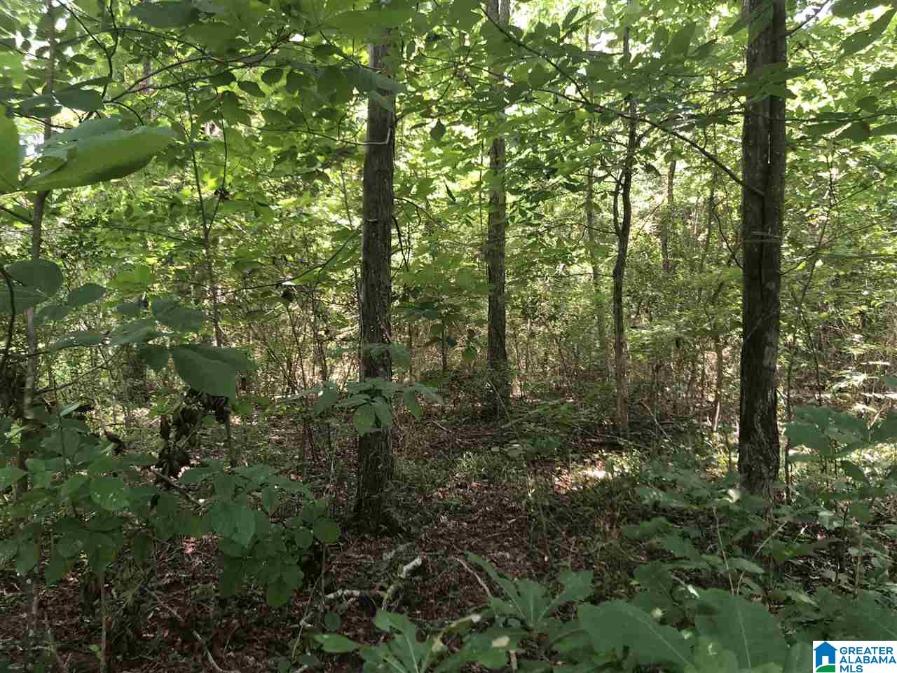 8346 Cedar Mountain Road, Unit 5 & 6 Pinson, AL 35126 - Photo 18 of 31