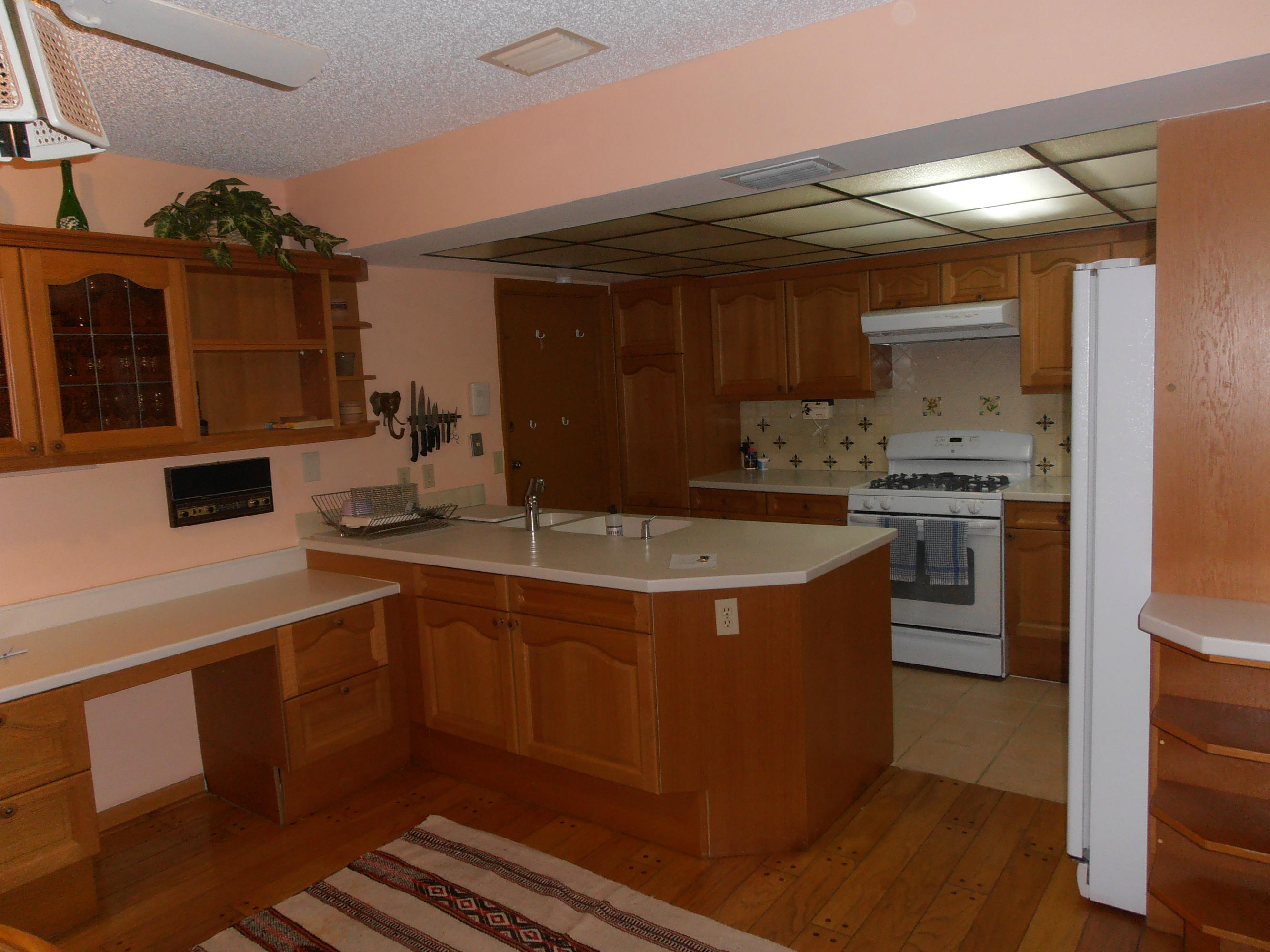 431 East Royal Palm Road Boca Raton, FL 33432 - Photo 18 of 71 kitchen
