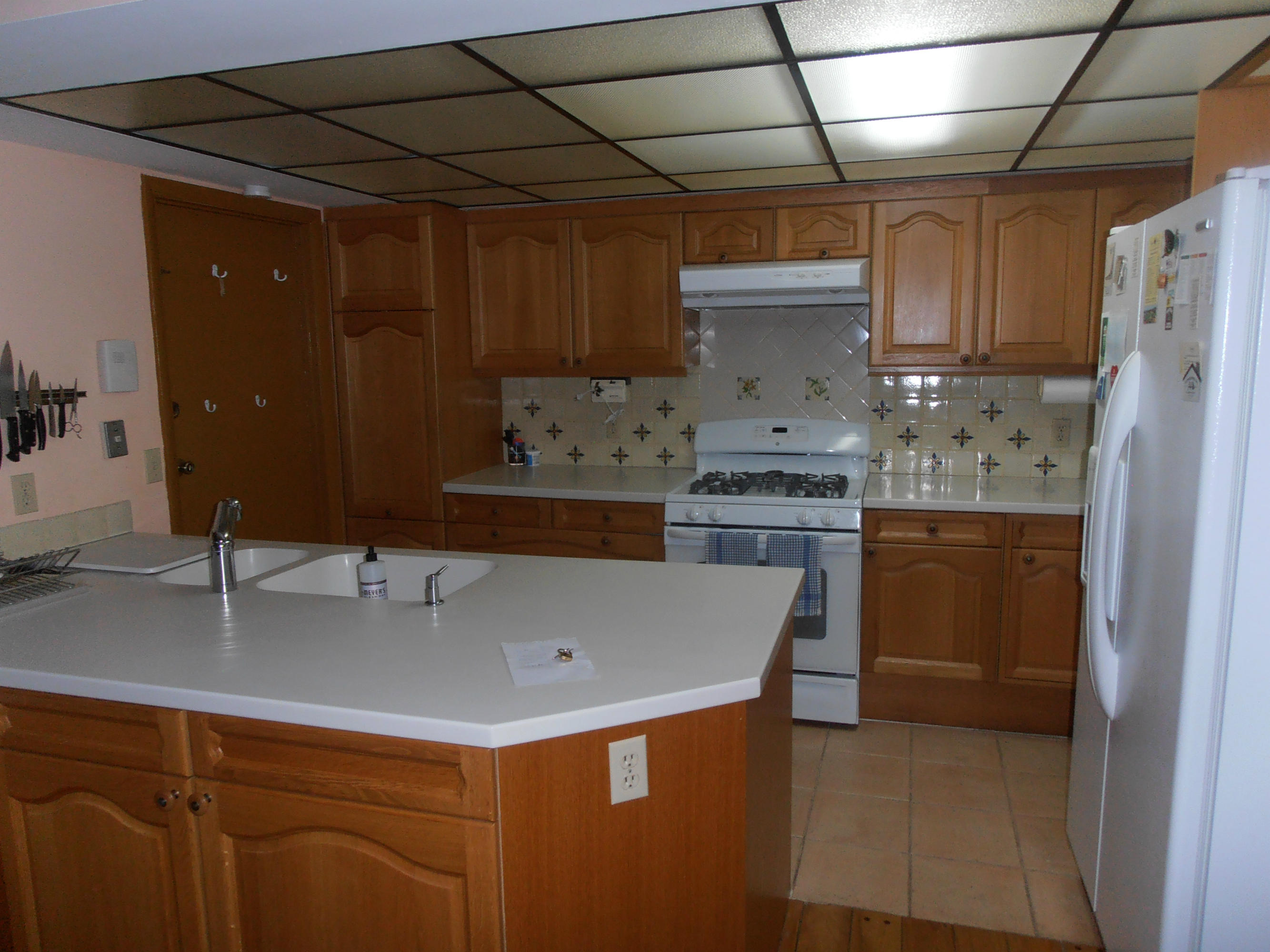 431 East Royal Palm Road Boca Raton, FL 33432 - Photo 19 of 71 kitchen
