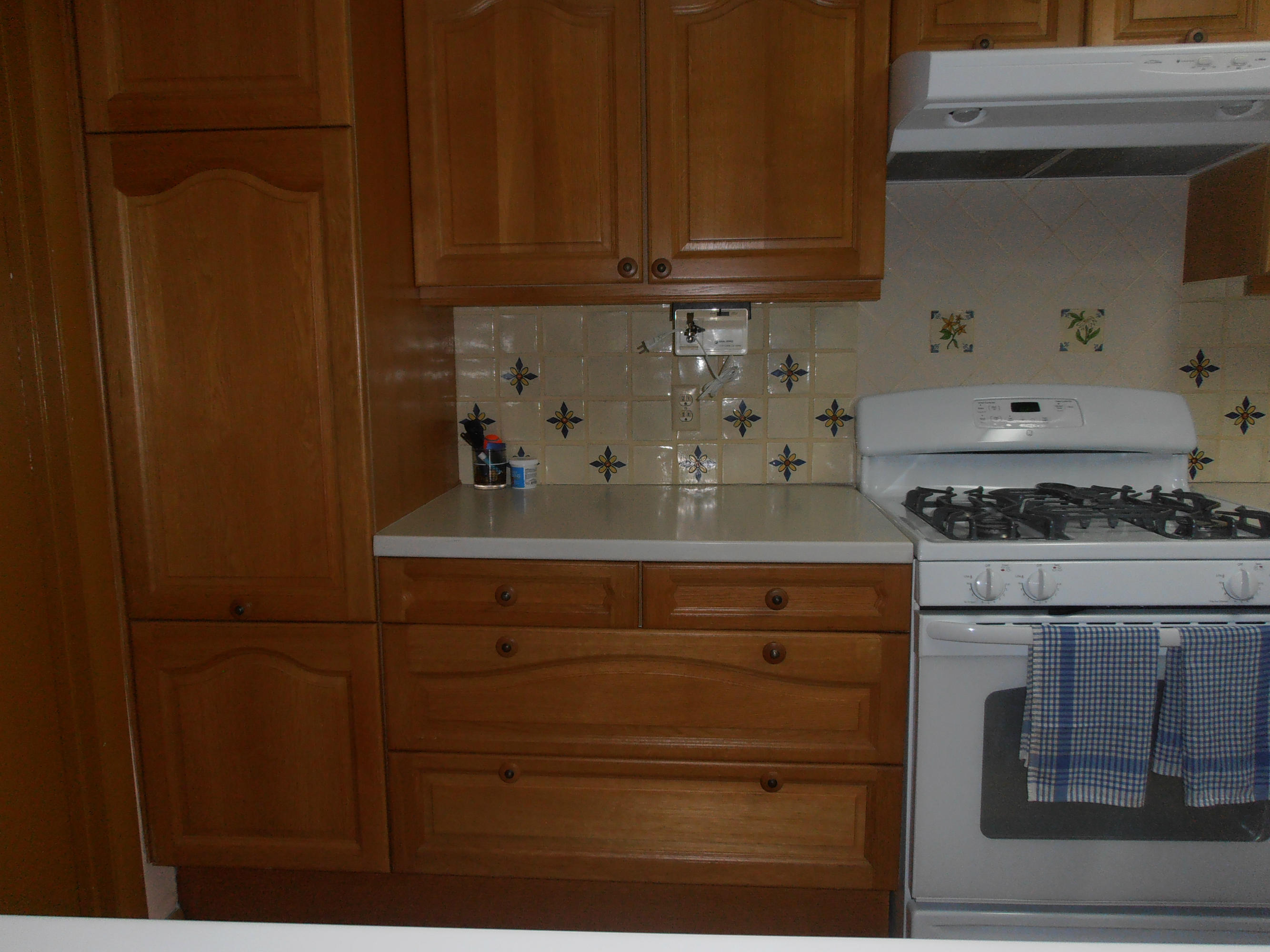 431 East Royal Palm Road Boca Raton, FL 33432 - Photo 27 of 71 kitchen