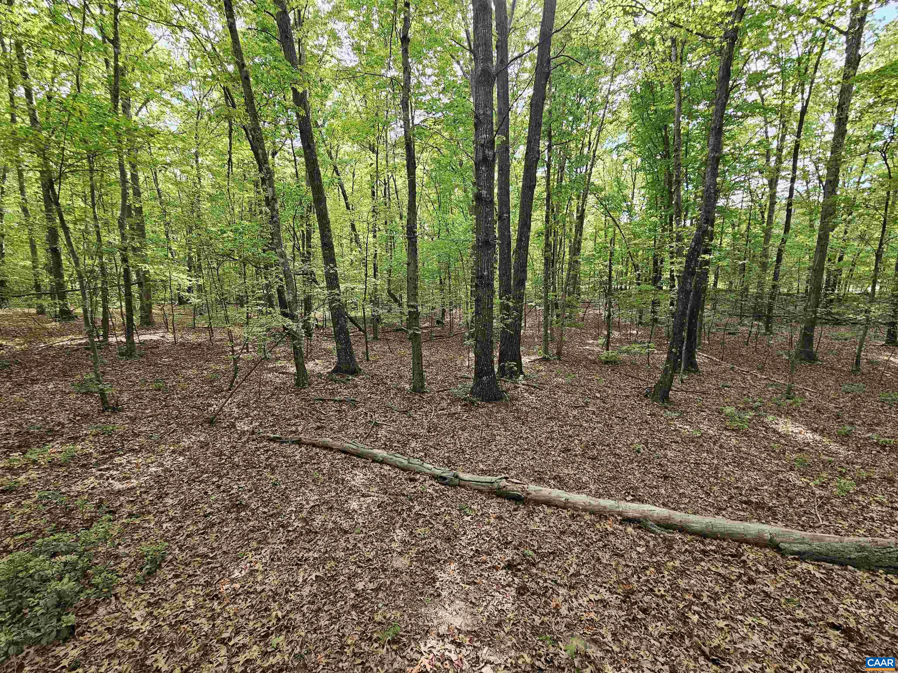 8.65-ac Pond Road Buckingham, VA 23921 - Photo 11 of 23