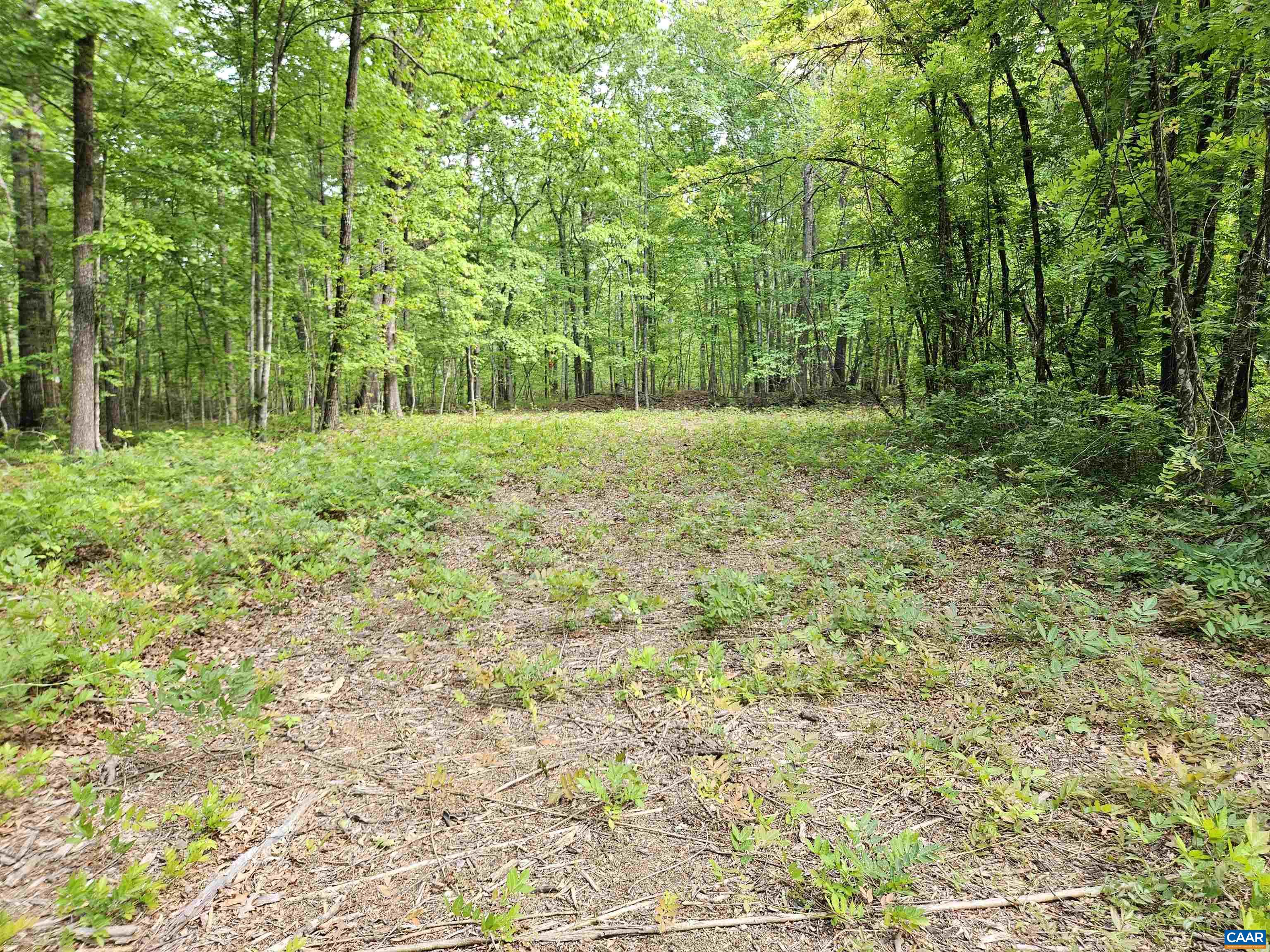 8.65-ac Pond Road Buckingham, VA 23921 - Photo 17 of 23