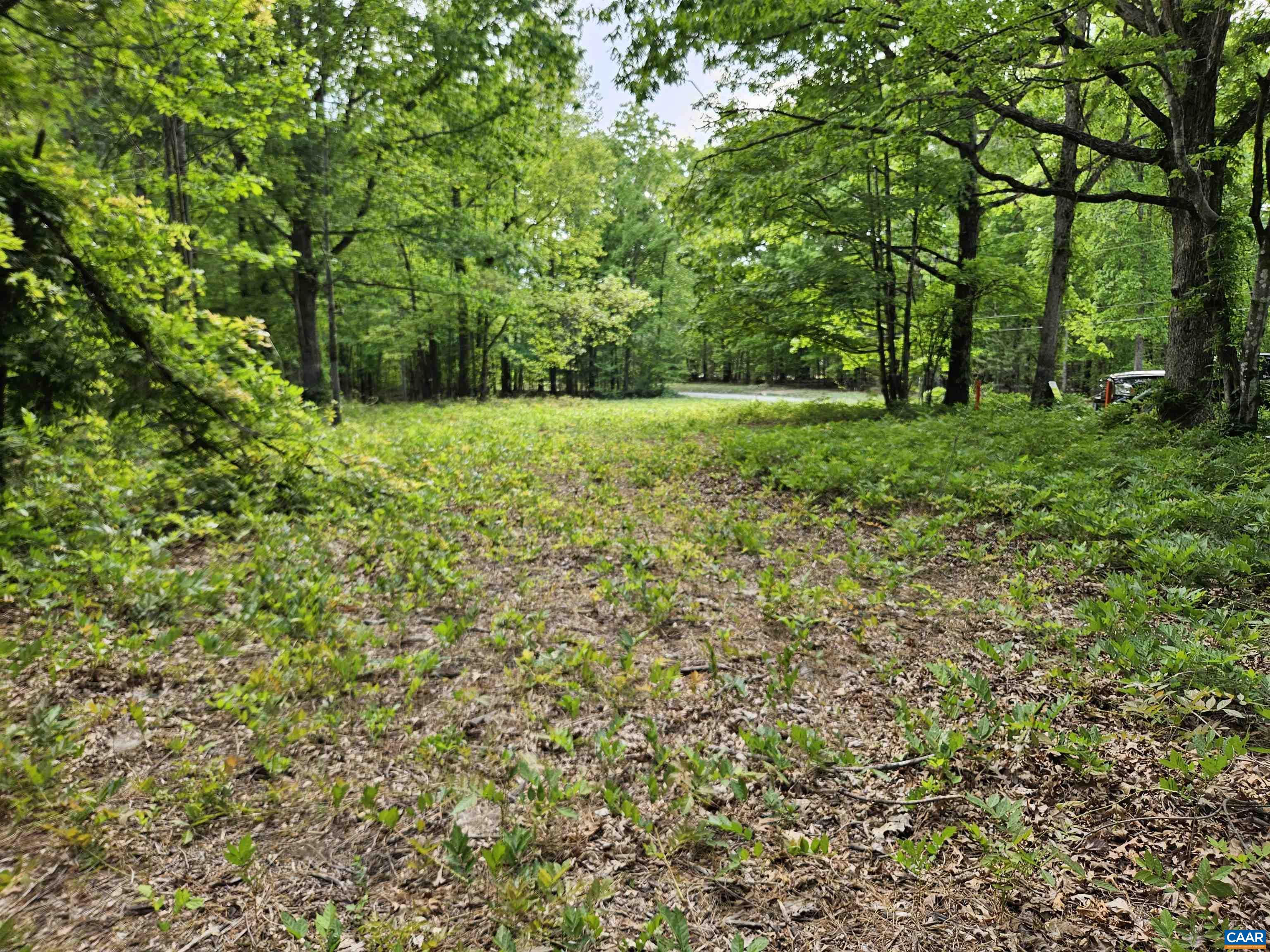 8.65-ac Pond Road Buckingham, VA 23921 - Photo 18 of 23