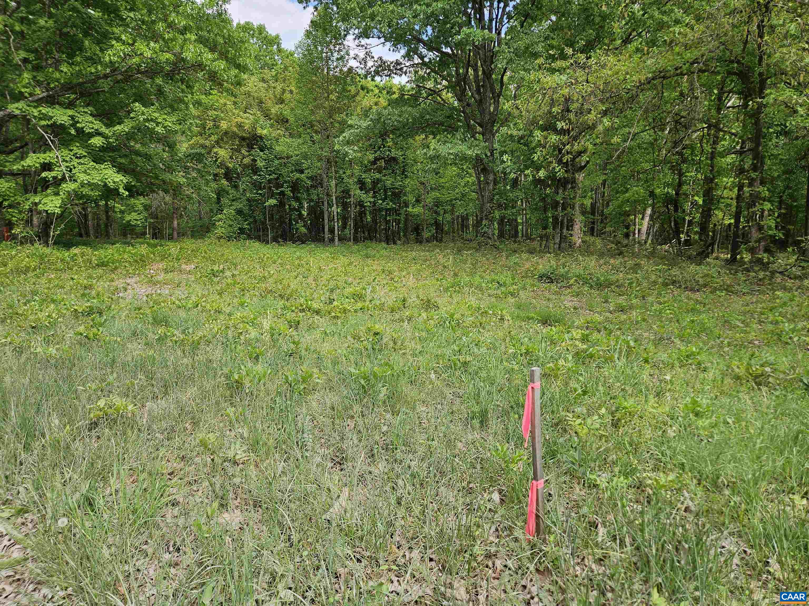 8.65-ac Pond Road Buckingham, VA 23921 - Photo 2 of 23