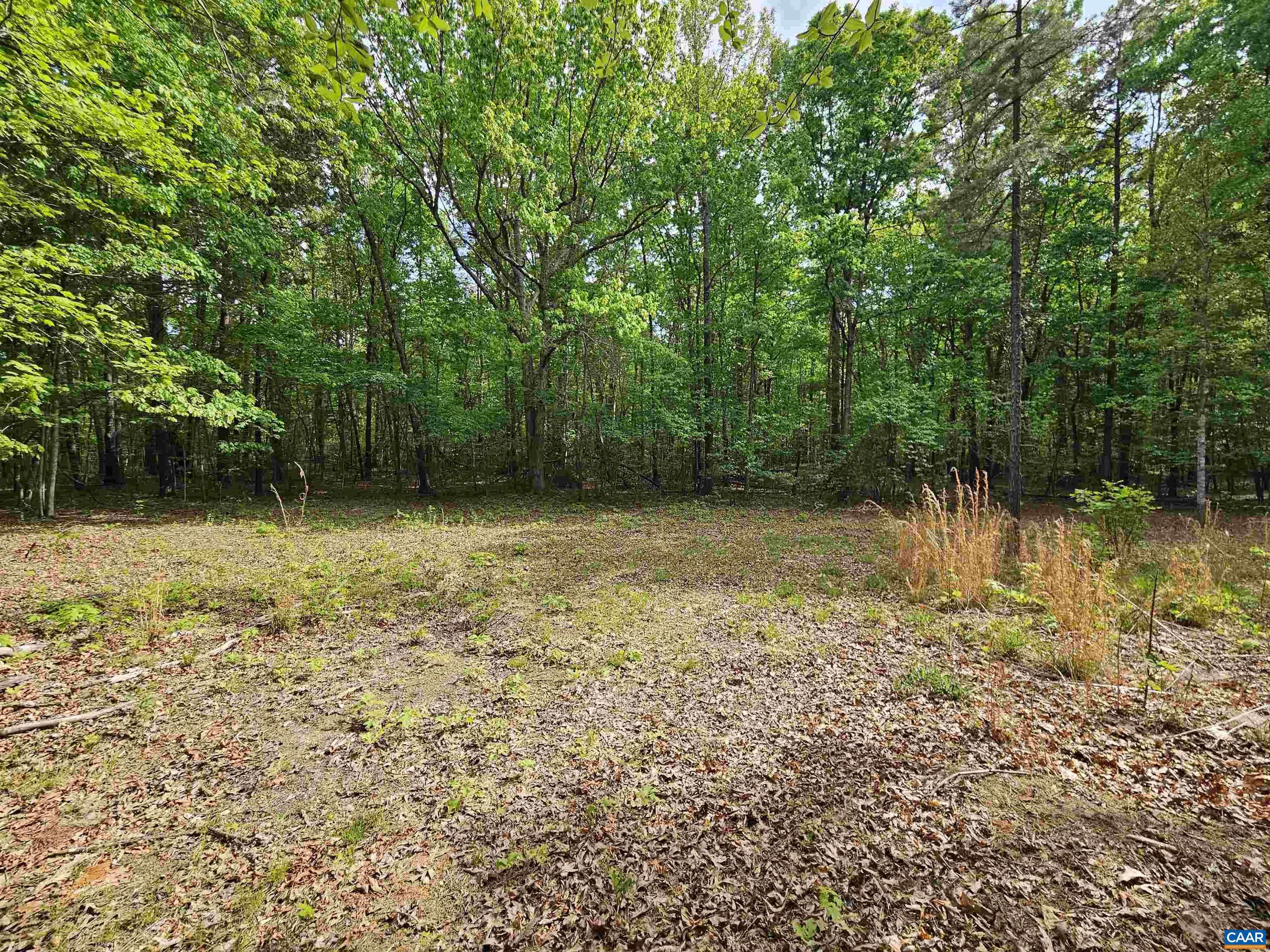 8.65-ac Pond Road Buckingham, VA 23921 - Photo 6 of 23