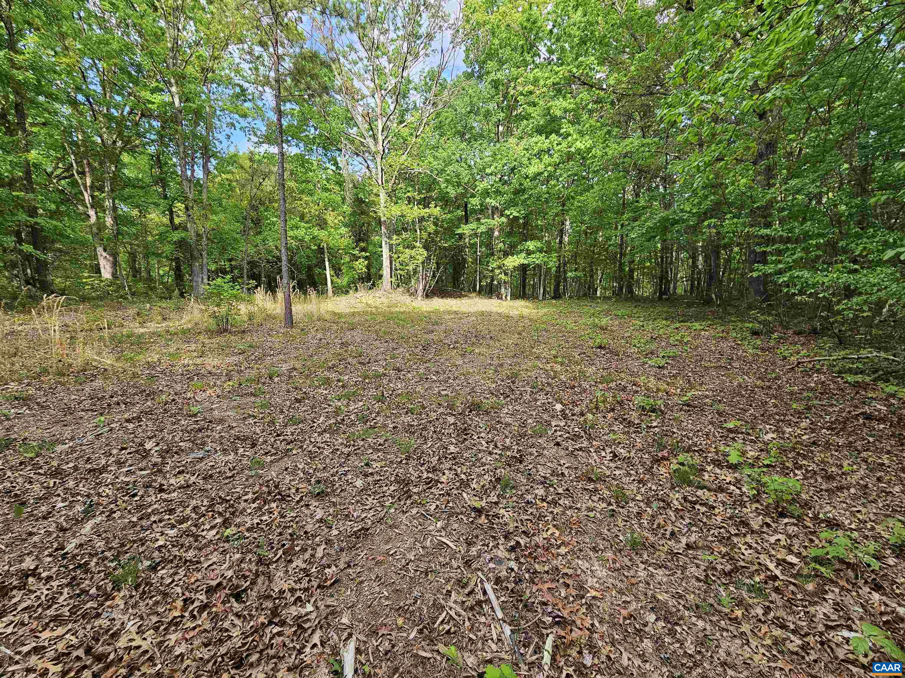 8.65-ac Pond Road Buckingham, VA 23921 - Photo 7 of 23