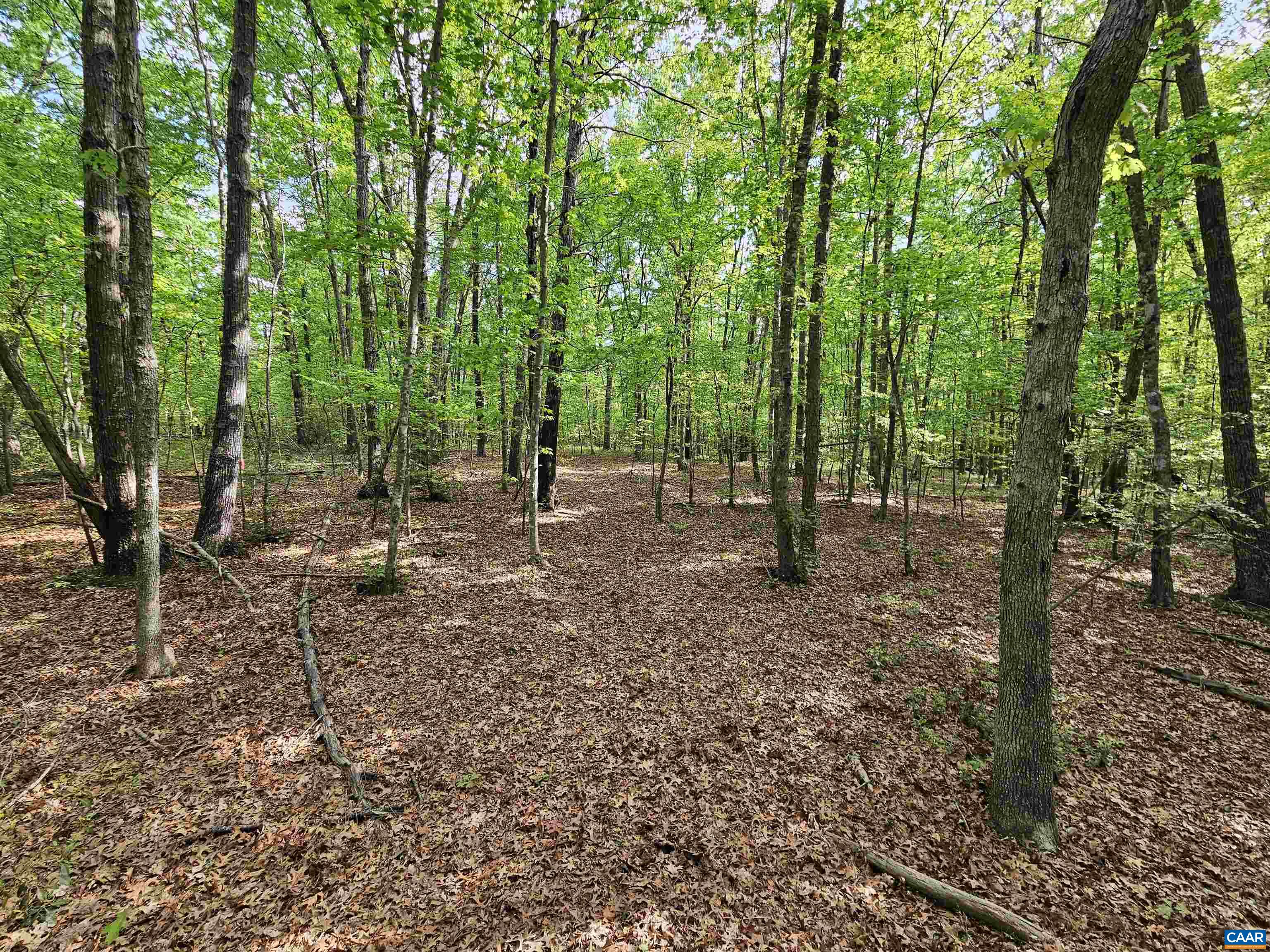 8.65-ac Pond Road Buckingham, VA 23921 - Photo 10 of 23
