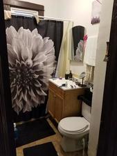 5427 South Wolcott Avenue Chicago, IL 60609 - Photo 6 of 9 a bathroom with a toilet and a shower curtain