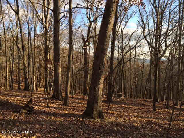 3645 Deer Run Road Blacksburg, VA 24060 - Photo 16 of 19 Gallery Image 16
