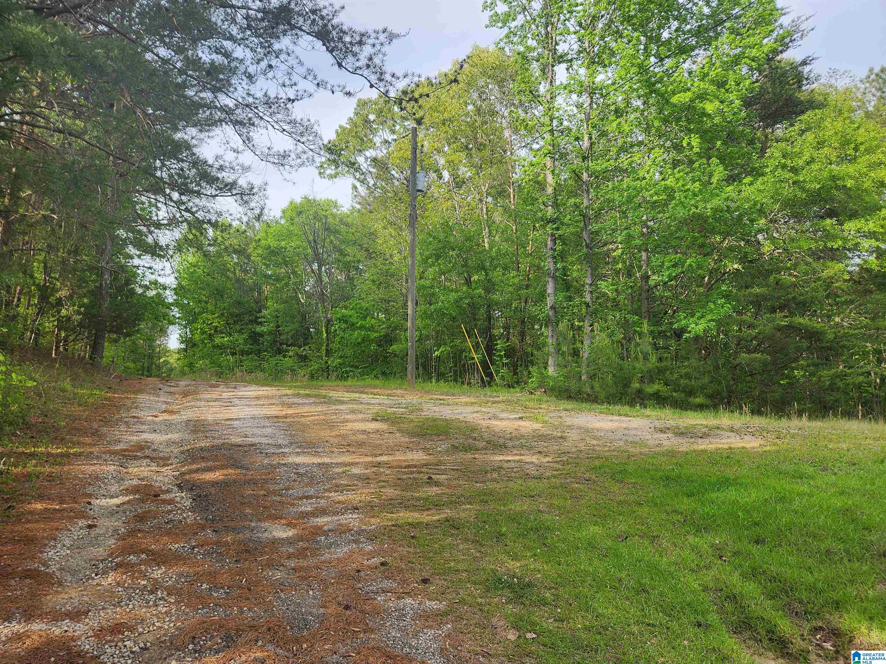 2213 Morris Majestic Road, Unit 9 Morris, AL 35116 - Photo 4 of 13