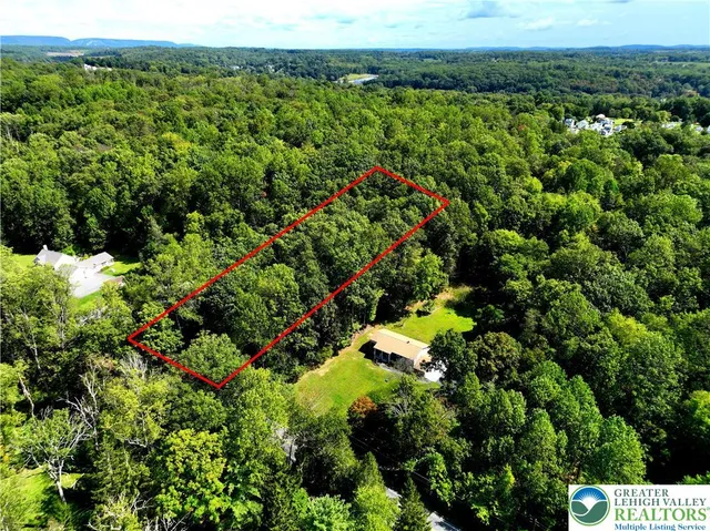 a view of a bunch of trees and bushes