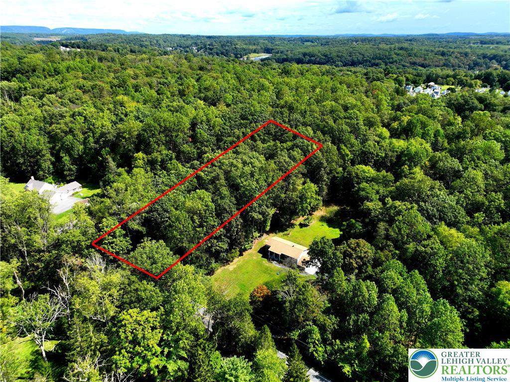 Lot 1 Molasses Road Bangor, PA 18013 - Photo 2 of 6 a view of a bunch of trees and bushes