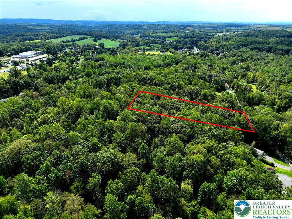 Lot 1 Molasses Road Bangor, PA 18013 - Photo 3 of 6 a view of a green field with lots of bushes