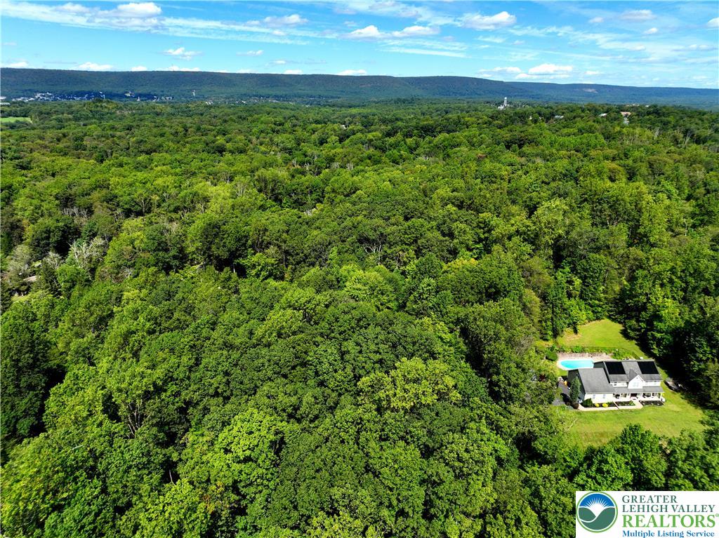 Lot 1 Molasses Road Bangor, PA 18013 - Photo 6 of 6 a view of a yard with an outdoor space