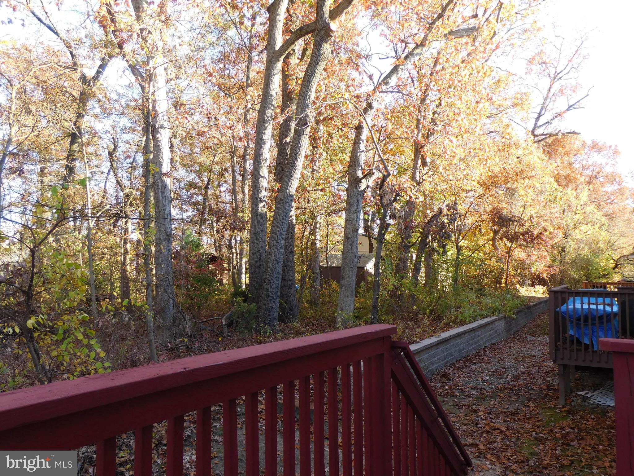 10 Charles Circle Delanco, NJ 08075 - Photo 13 of 44 View from rear deck