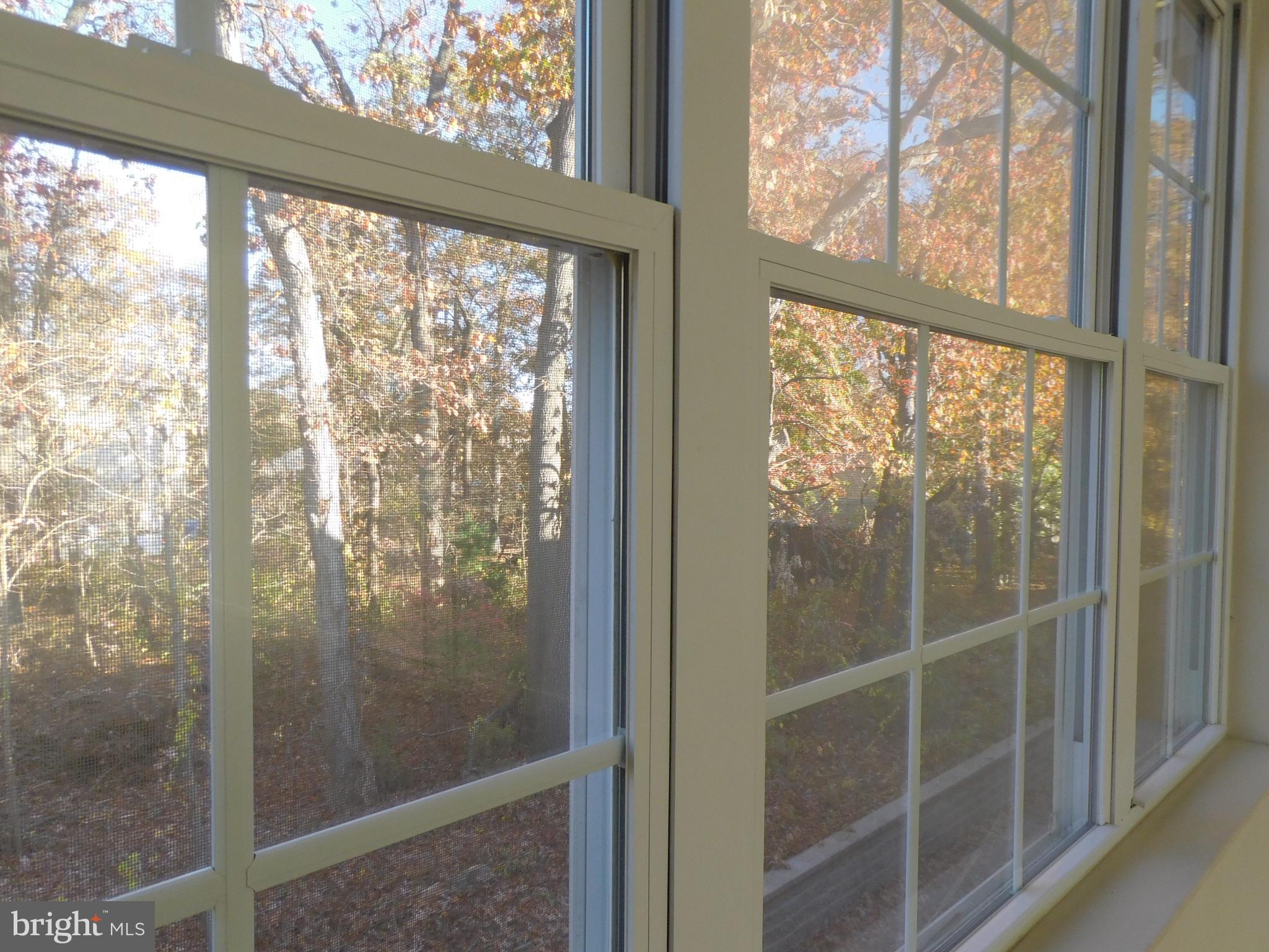 10 Charles Circle Delanco, NJ 08075 - Photo 24 of 44 Rear window view from 2nd floor area.