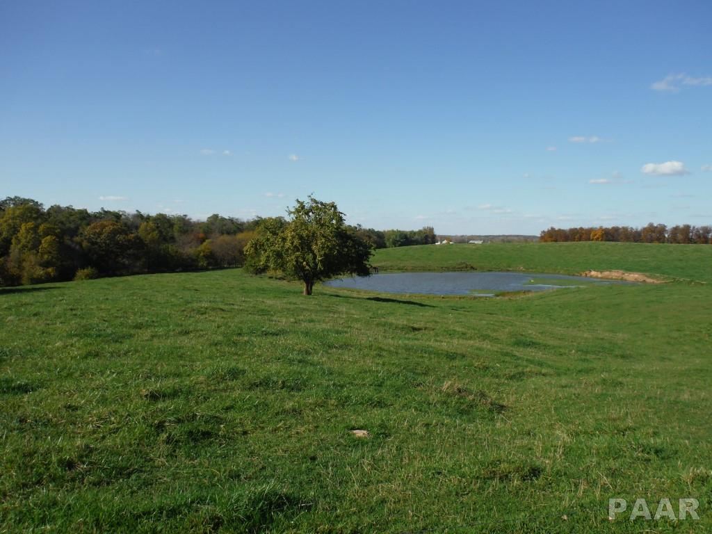 0 Locust Road Hopedale, IL 61747 - Photo 1 of 12