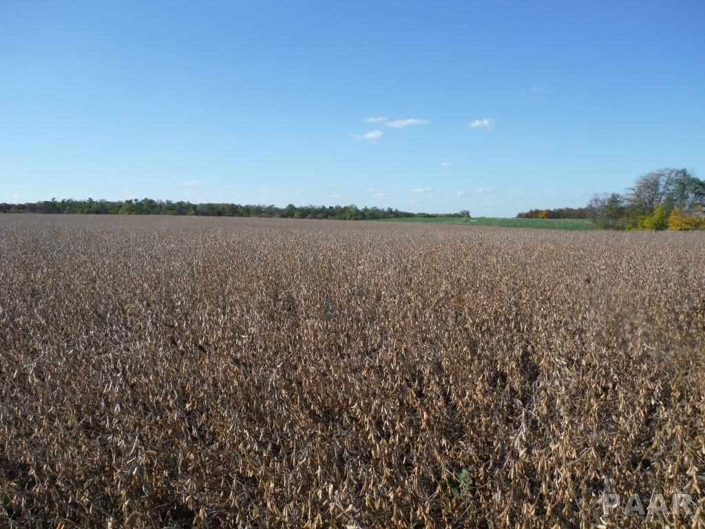 0 Locust Road Hopedale, IL 61747 - Photo 11 of 12