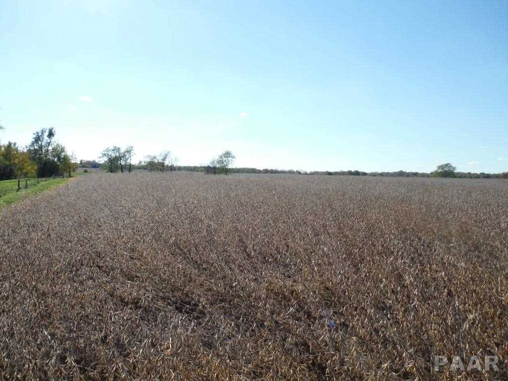 0 Locust Road Hopedale, IL 61747 - Photo 12 of 12