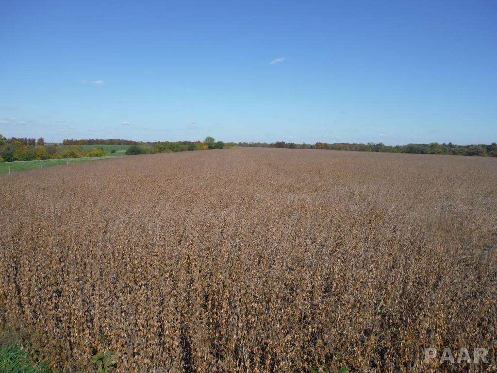 0 Locust Road Hopedale, IL 61747 - Photo 2 of 12